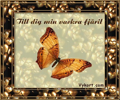 Vackra fjäril